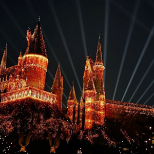 Le Parc Universal