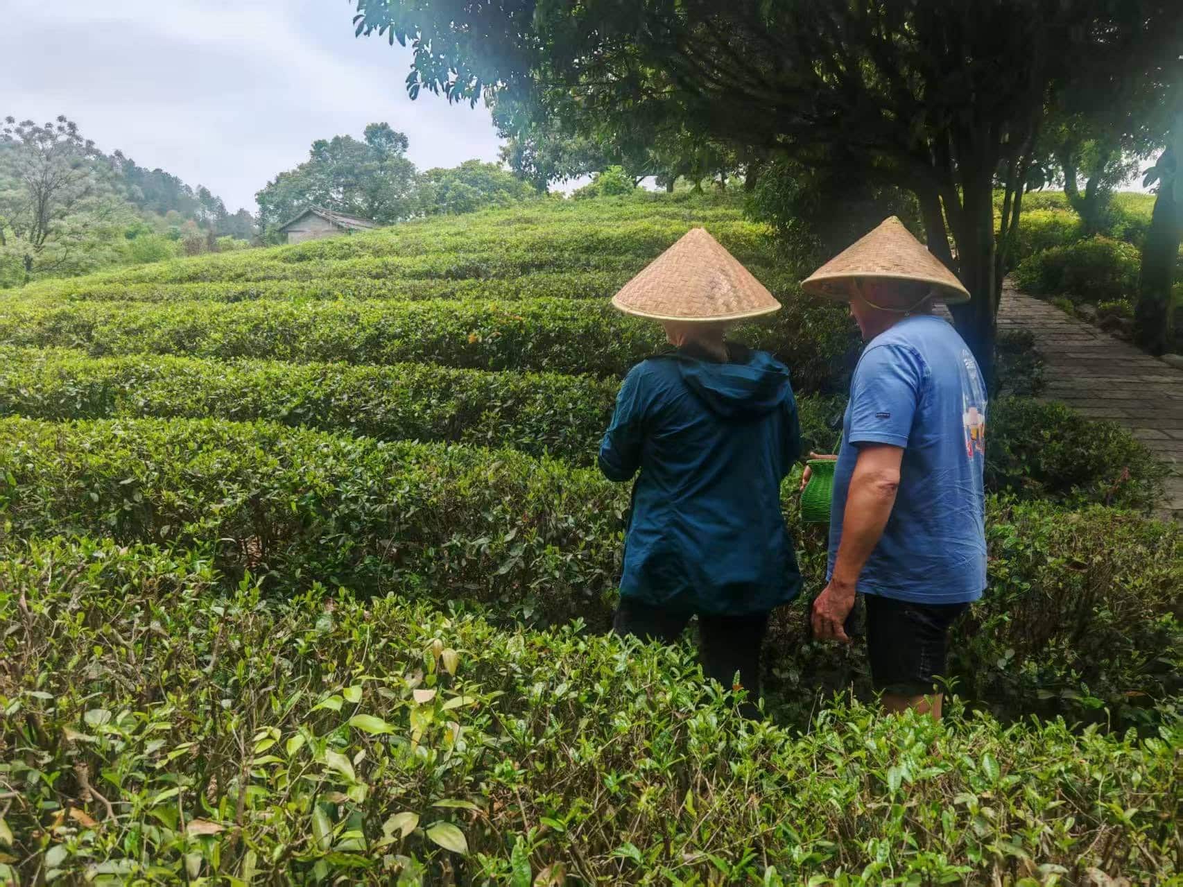 Isabelle et Yann – Chine classique Luxe – Avril 2025