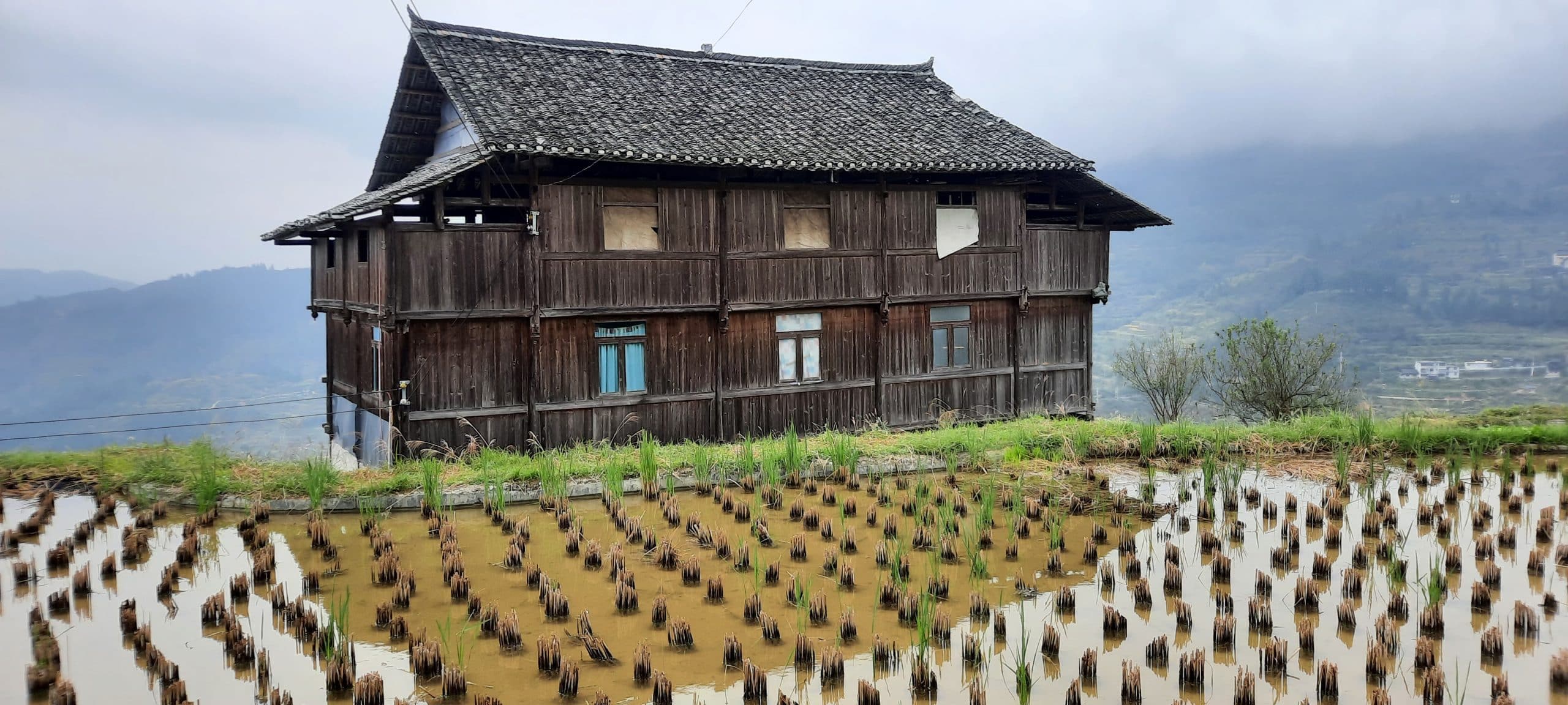 Francine et sa famille – Circuit Hunan Guizhou Guangxi – Octobre 2025