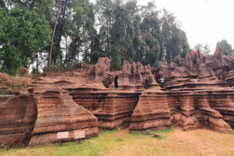 Forêt de pierres rouges – Hongshilin