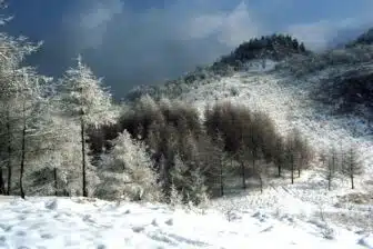 Chine secrète – Trois Gorges, Shennongjia & mont Wudang – Image 4