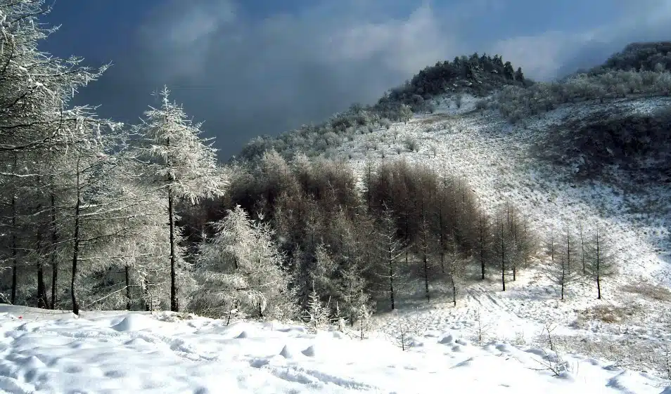 Chine secrète – Trois Gorges, Shennongjia & mont Wudang – Image 4
