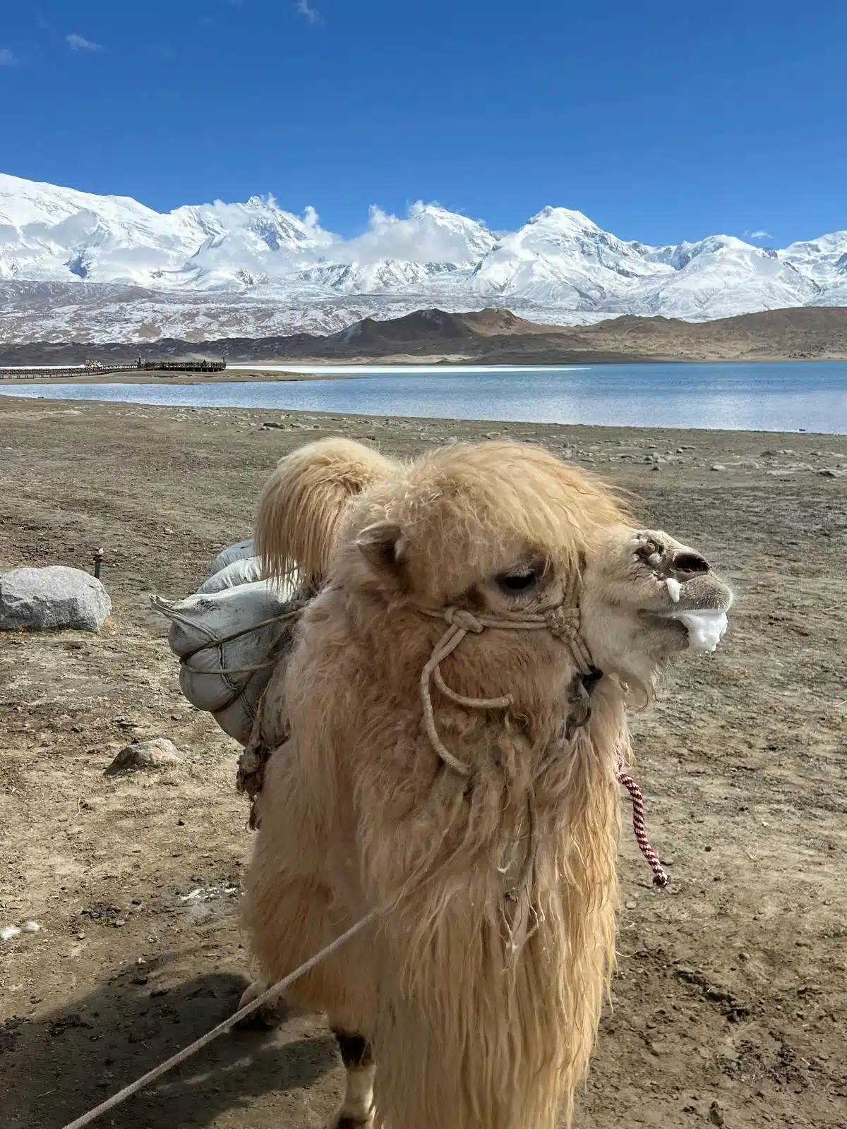Avis René – voyage dans le Xinjiang et le Yunnan