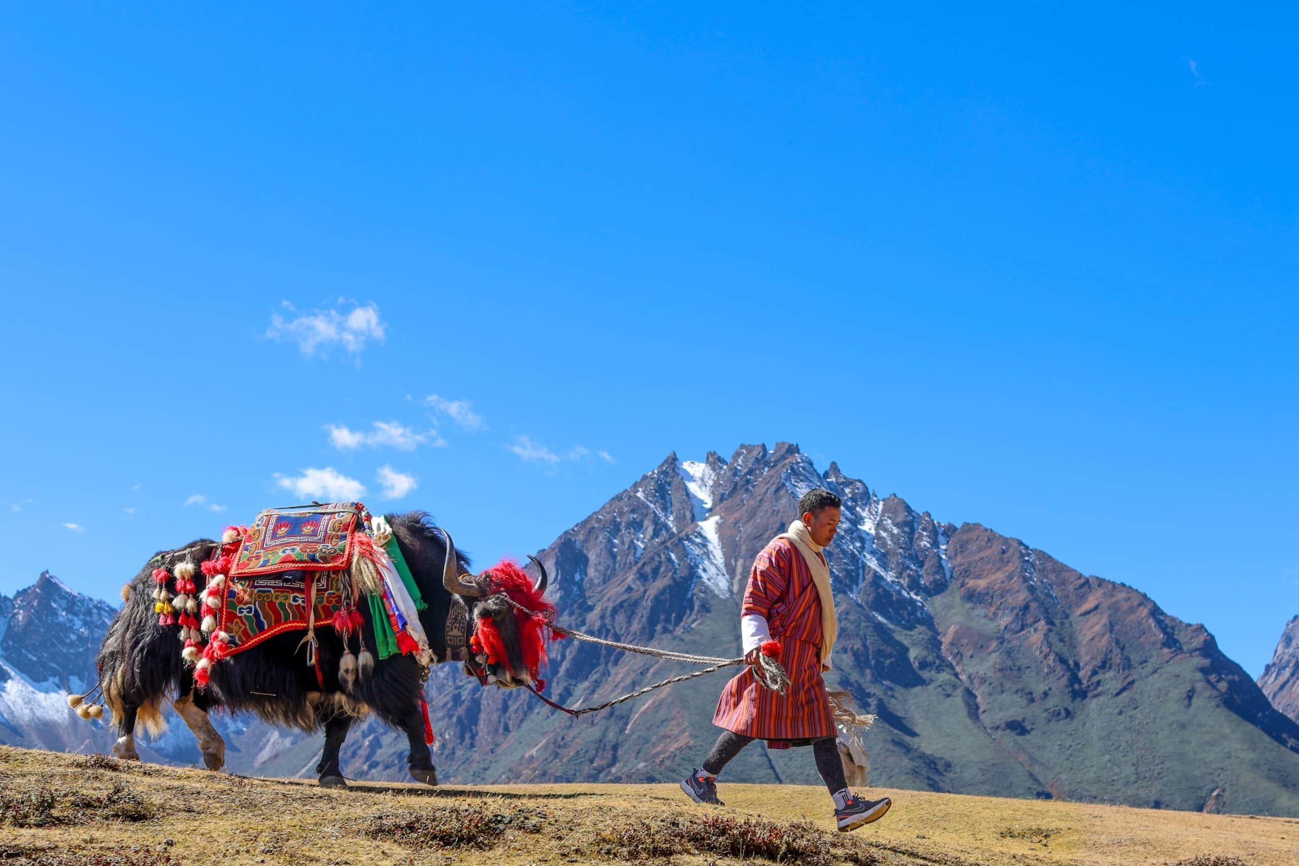 Grande Traversée de l’Himalaya : Tibet Népal Bhoutan – Image 4