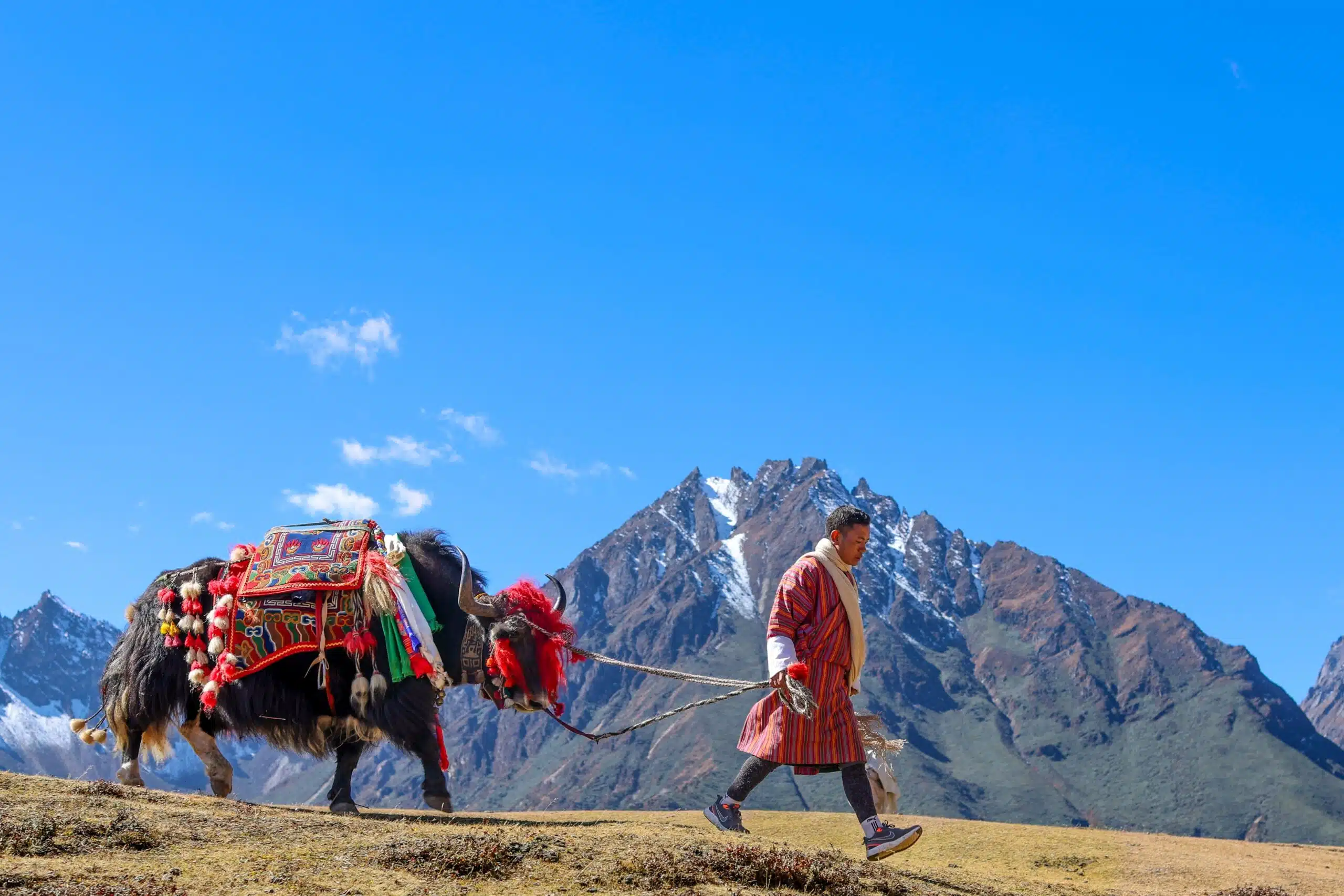 Grande Traversée de l’Himalaya : Tibet Népal Bhoutan – Image 4
